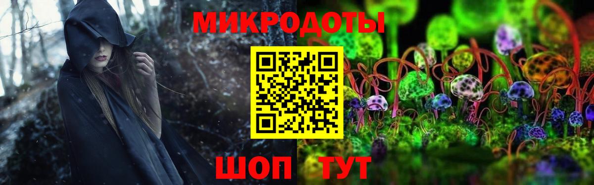 Галлюциногенные грибы Psilocybe Лобня